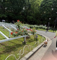 IMG_0809