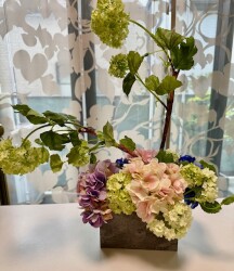 IMG_0948
