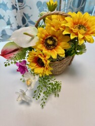 IMG_0956