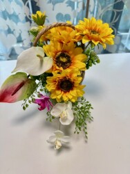 IMG_0957
