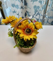 IMG_0959