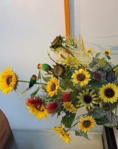IMG_1158