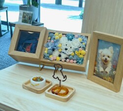 IMG_1202
