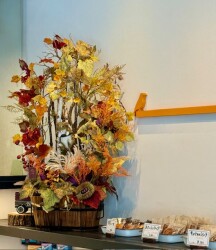 IMG_1850